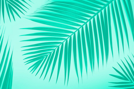 薄荷色背景的热带棕榈叶。简约夏季概念。流行的绿色和绿松石色。有复制空间的创意公寓。顶视图绿叶纸