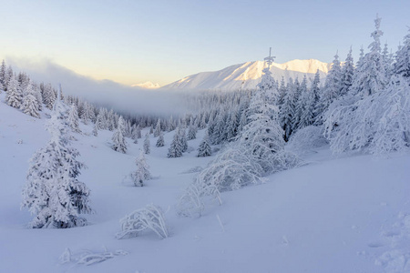 山谷 鞑靼 欧洲 塔特拉 鞑靼人 滑雪 风景 高的 寒冷的