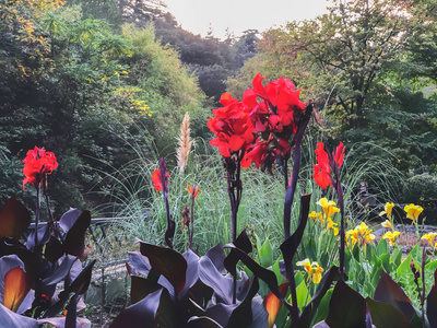 城市公园里美丽的风景和五颜六色的花朵，城市里温暖的秋日