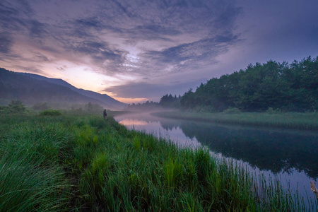 小山 环境 森林 松木 山谷 日出 风景 场景 复制空间