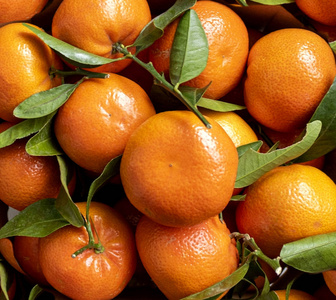 甜的 柑橘 食物 水果 维生素 橘子 饮食 树叶 果汁 健康