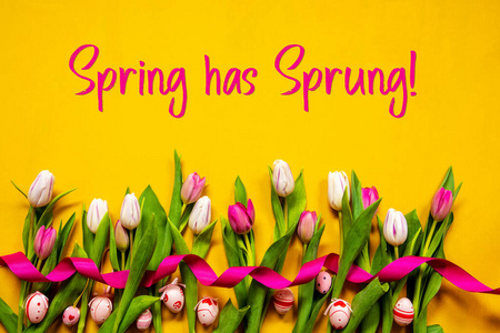 五颜六色的郁金香，春天的文字，复活节彩蛋，黄色的背景