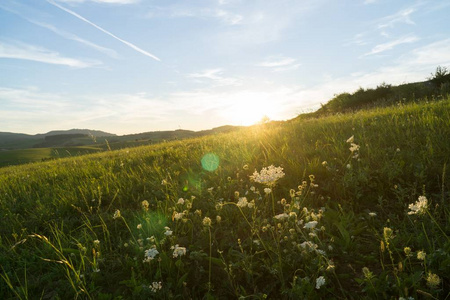 早晨 旅行 暮光 自然 美女 夏天 场景 地平线 阳光 风景