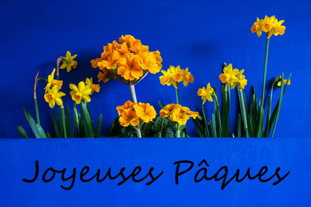 春天的花朵，水仙，文字乔伊斯帕克斯寓意复活节快乐