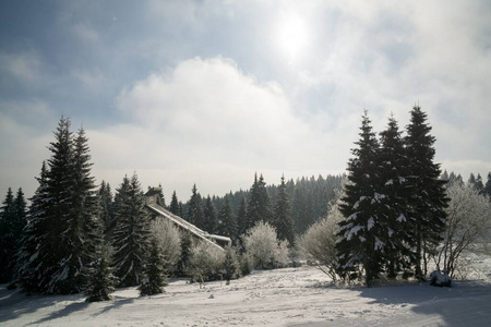 斯洛伐克 森林 寒冷的 冷冰冰的 美女 自然 冻结 晶体