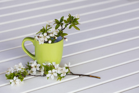 自然 茶杯 怀旧 花的 樱桃花 杯子 浪漫的 开花 复制空间