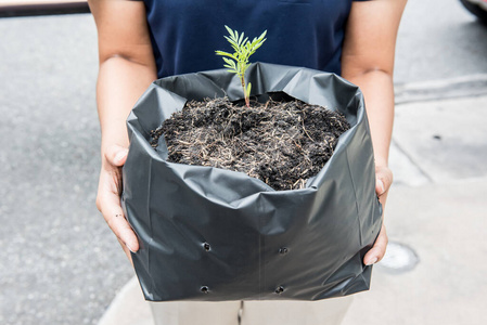 出生 生长 环境 植物学 特写镜头 园艺 地球 生活 植物