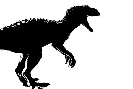 身体 白垩纪 愤怒的 害怕 蜥蜴 侏罗纪 捕食者 动物 恐龙