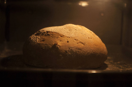 烤箱 特写镜头 烹饪 温暖的 早餐 面包师 地壳 面包店