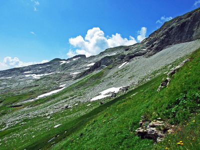 美丽的 目的地 石头 阿尔卑斯山 全景图 环境 假期 自然