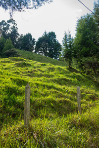 季节 自然 领域 外部 小山 森林 村庄 山谷 木材 生态系统