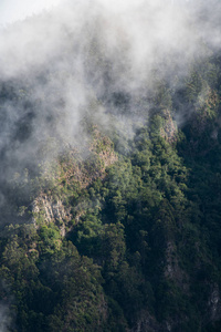 海报 自然 照片 森林 悬崖 峡谷 艺术照 小山 公园 墙纸