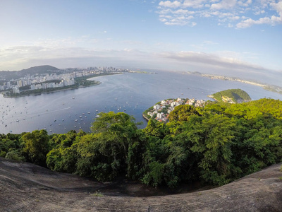 夏天 旅行 海湾 森林 城市 观光 巴西 旅游业 风景 甜面包