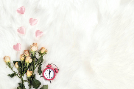 时间 毛皮 周年纪念日 假日 庆祝 颜色 玫瑰 羊毛 花瓣