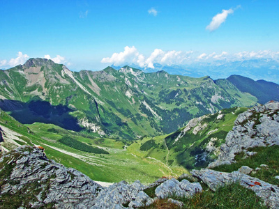 阿尔卑斯山 夏天 徒步旅行 农业 村庄 森林 风景 场景