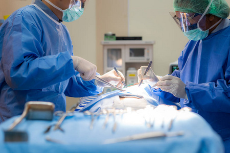 病人 职业 男人 团队合作 外科手术 保险 诊所 兽医 肖像