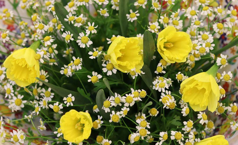 假日 浪漫 植物 花束 周年纪念日 浪漫的 情人 礼物 开花