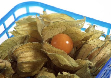 植物学 水果 市场 甜点 在室内 照片 食物