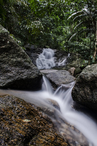 美丽的 流动的 花的 环境 风景 公园 运动 落下 水塘