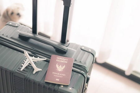 商业 飞机 目的地 娱乐 行李 离开 假日 护照 航空公司