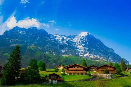 欧洲 挑战 旅行者 春天 冒险 瑞士 社区 旅行 徒步旅行