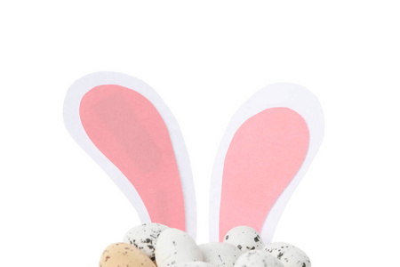 动物 鸡蛋 可爱的 耳朵 特写镜头 颜色 杯子 兔子 礼物