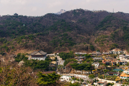 城市 住宅区 村庄 公园 目的地 大都市 风景 旅行 房子