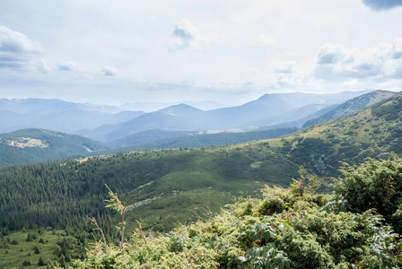 小山 风景