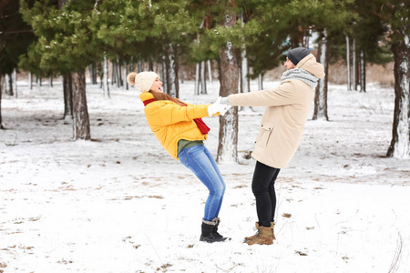 妻子 快乐 美丽的 成人 假日 女人 在一起 闲暇 公园