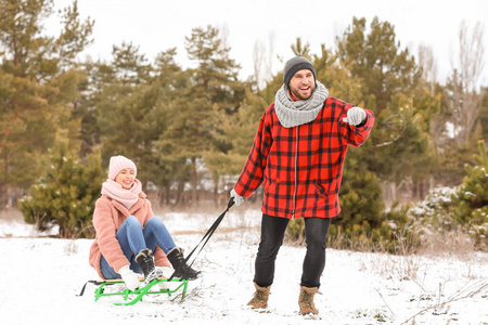 男人 在一起 丈夫 天气 雪橇 浪漫的 寒冷的 季节 公园