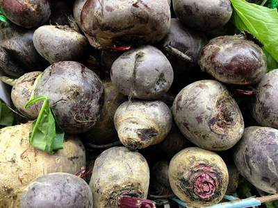 蔬菜 花园 饮食 农场 夏天 农事 营养 植物 收获 维生素