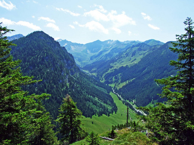 旅行 公园 自然 阿尔卑斯山 欧洲 山谷 森林 农场 土地