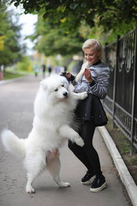 有趣的 犬科动物 在一起 小狗 春天 落下 女孩 甜的 漂亮的