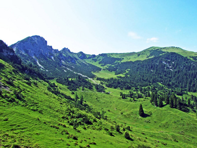 农场 乡村 天空 春天 草地 山谷 牧场 旅行 夏天 岩石