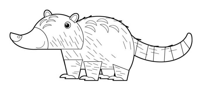 卡通 削减 科蒂 哺乳动物 艺术 收集 袋鼠 素描 美国