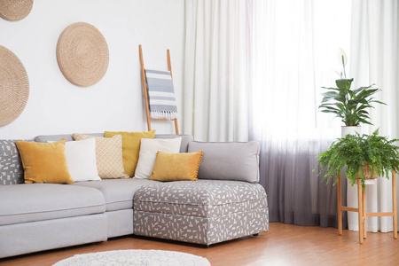 新的 公寓 座位 沙发 家庭 奢侈 织物 要素 颜色 柔和的