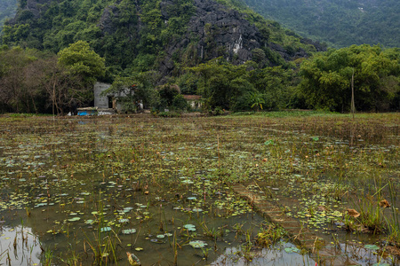 美丽的 天空 旅行 自然 夏天 风景 小山 旅游业 森林