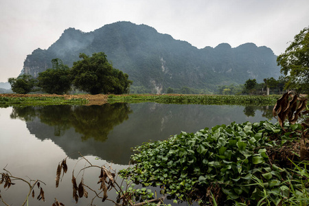 越南 公园 夏天 岩石 瓷器 风景 小山 反射 森林 旅游业