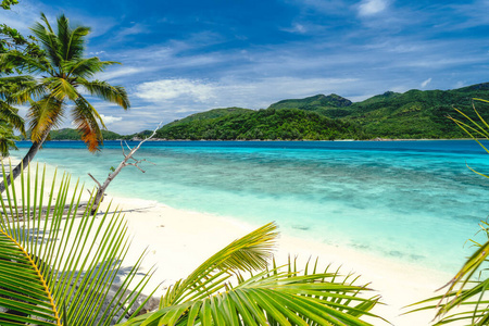 度假度假氛围异国情调壁纸。热带海滩上的棕榈树。碧海环礁湖白云蓝天