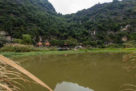 越南 小山 森林 美丽的 夏天 天空 公园 瓷器 风景 自然