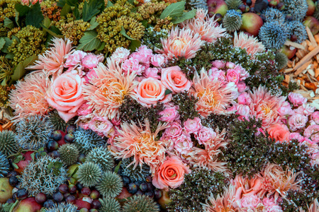 各种粉色和紫色的花朵,花卉视觉,盛开,花景生动,活墙,五彩缤纷,春光