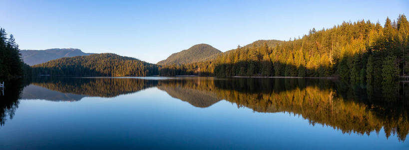 全景 自然 墙纸 美国 伍兹 加拿大人 美丽的 全景图 阳光