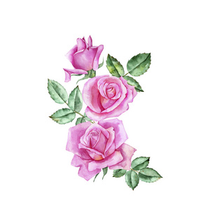 水彩画玫瑰花照片