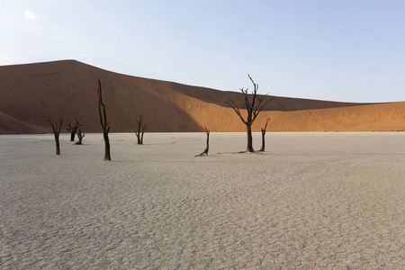 天空 阿拉伯树胶 非洲 沙丘 热的 阳光 国家的 风景 沙漠
