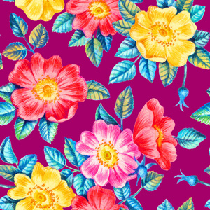 花瓣 水彩 植物区系 夏天 剪贴簿 纺织品 纹理 荆棘 素描