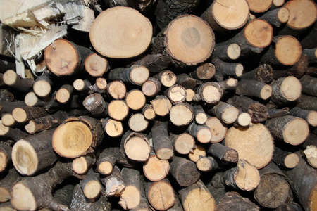 材料 能量 木材 行业 松木 生产 纹理 切碎 自然 树干