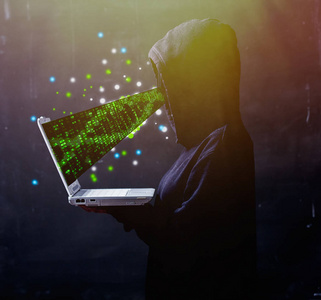 保护 网络 数据 密码 因特网 黑客 病毒 间谍 软件 系统
