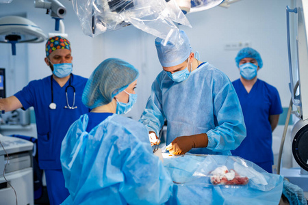 助理 技术 工具 团队合作 制服 医学 专家 团队 外科手术