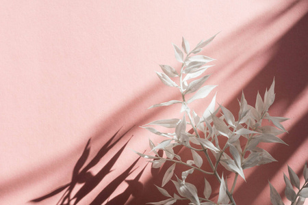 自然 卡片 招呼 艺术 情人 浪漫的 软的 粉红色 花的