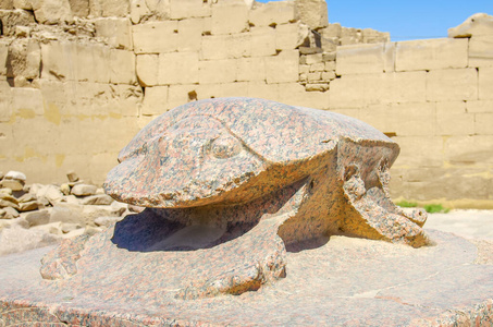 文化 艺术 甲虫 遗产 埃及人 历史 废墟 博物馆 非洲